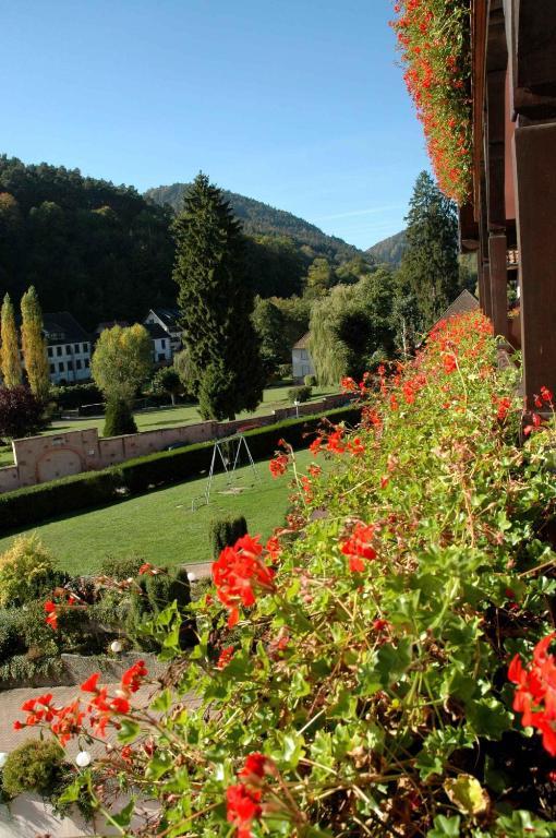 Hotel Restaurant Des Vosges Obernai Exterior photo